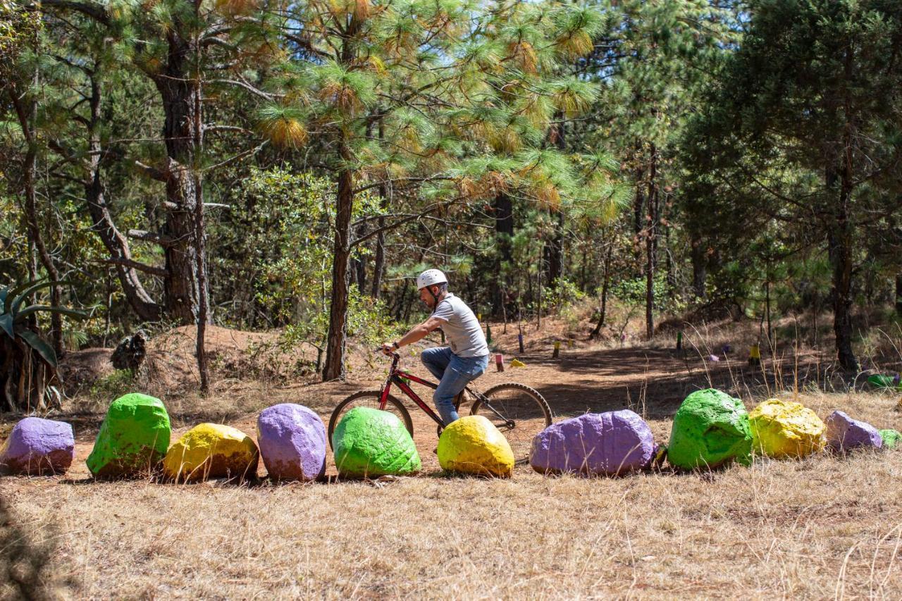 Hotel & Glamping Huasca Sierra Verde Huasca de Ocampo Εξωτερικό φωτογραφία